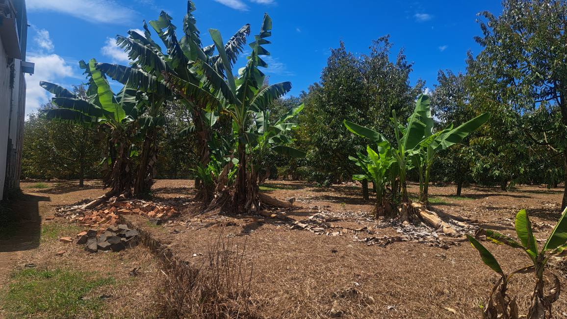 Đất vườn Hòa Nam, Di Linh 5.500m² - Sinh lời kép, nghỉ dưỡng lý tưởng!