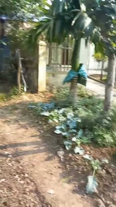 Đất nền Mỹ Lộc 220m² giá 1 tỷ - Sổ đỏ chính chủ, xây dựng tự do!