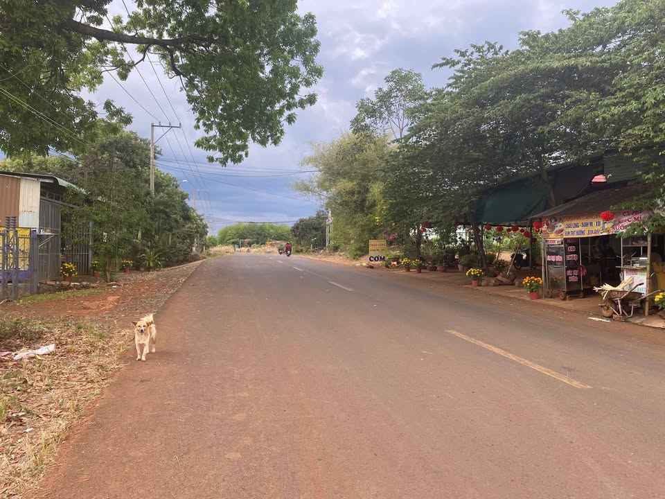 Đất nền Đồng Tiến, Bình Phước - 700m² Kinh doanh tốt, Giá 1.1 tỷ