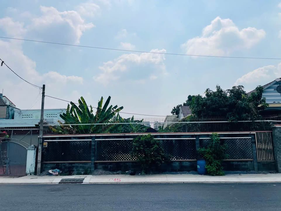 Nhà Phố Mặt Tiền Nguyễn Văn Xuân Củ Chi 481m² - Mặt tiền kinh doanh đắc địa!