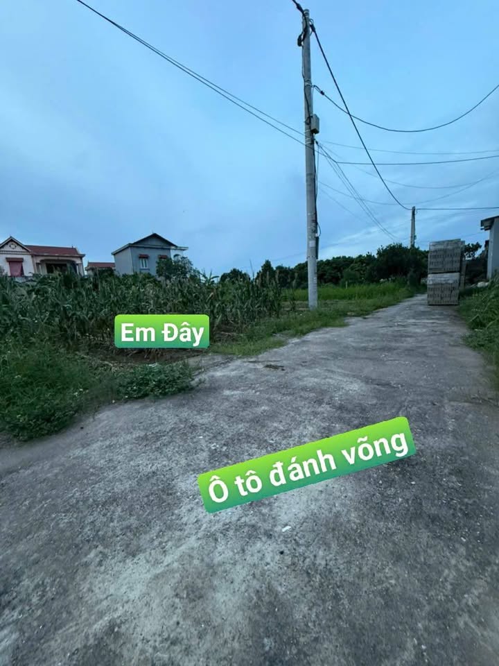 Đất nền Hạ Lễ Ân Thi 120m² - Sổ đỏ chính chủ, tiềm năng sinh lời!