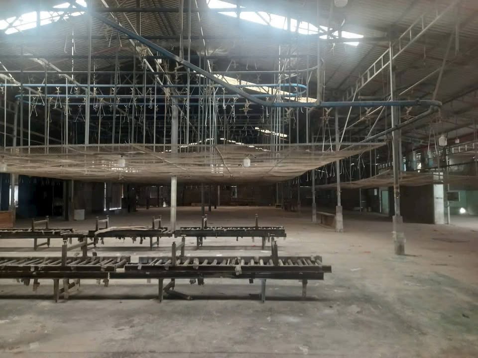 Cho thuê nhà xưởng Đất Cuốc 5.000m² giá 270 triệu - Hoạt động ngay!