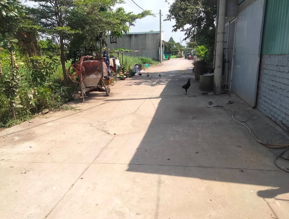 Đất Thổ Cư Bình Mỹ, Củ Chi 181m² - Sổ Đỏ Chính Chủ