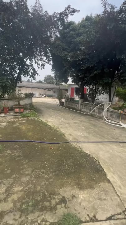 Trang trại 4232m² QL3 Bạch Thông, Bắc Kạn - Cơ hội đầu tư dài hạn!