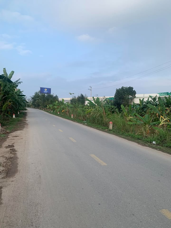 Bán đất mặt đường Mỹ Xá, Nam Định 150m² - Kinh doanh đắc lợi