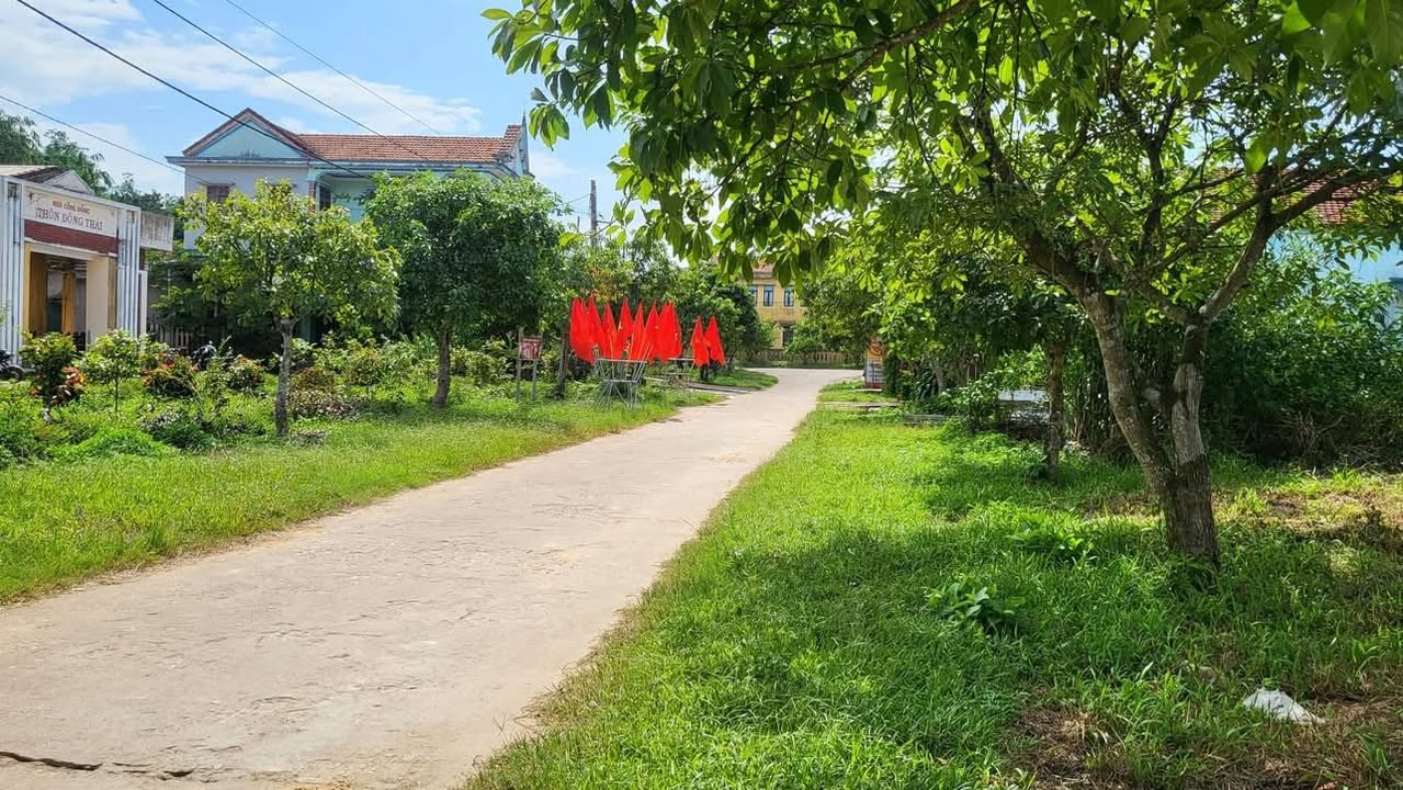 Đất nền Đông Thái Phong Mỹ 150m² - Tiềm năng tăng giá vượt trội!