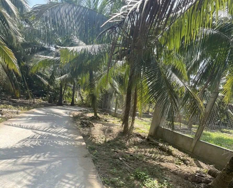 Đất nền Giồng Trôm 1357m² - Sổ đỏ chính chủ, đường to ô tô!