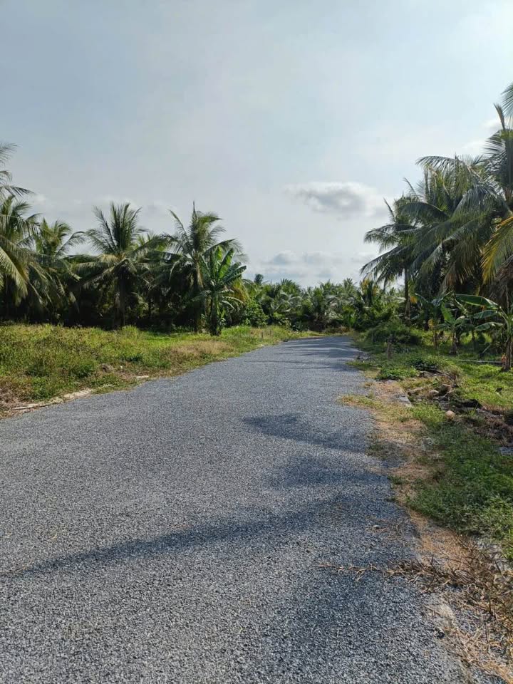 Đất nền Thới Lai, Bình Đại 140m² giá 350 triệu - Sổ đỏ chính chủ!