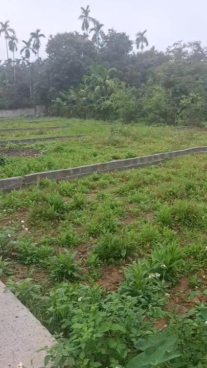 Đất nền Lý Nhân Hà Nam F0 - Sổ sẵn 104m² - Dân cư đông đúc