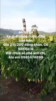 Đất Nền Thuận An Đắk Mil 38000m² - Đường to ô tô, tiềm năng tăng giá!