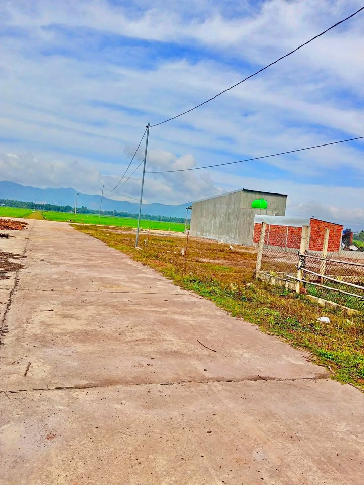 Đất nền Hoài Nhơn 156m² - Sổ đỏ chính chủ, thổ cư 100%