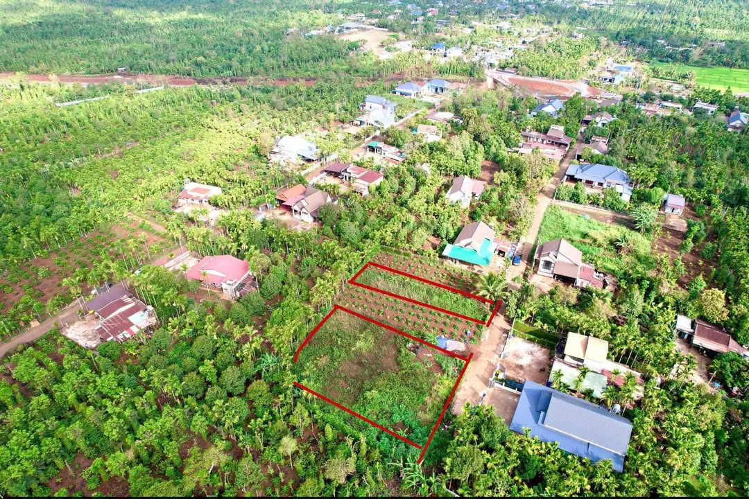 Đất nền Ea Ktur, Cư Kuin 1800m² - Pháp lý rõ ràng, tiềm năng sinh lời!