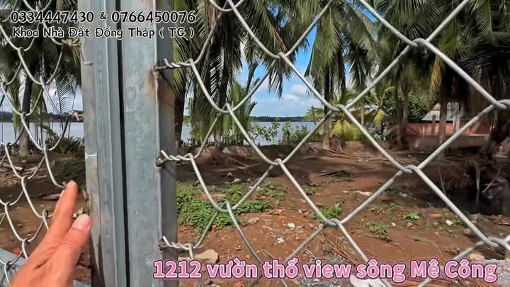 Đất Vườn 1212m² view Sông Tiền Giang - Sổ Hồng Riêng, Giá 848 Triệu