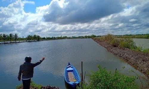 Bán Gấp 50.600m² Đất Vườn Tôm Kiên Lương - Sổ Đỏ Rõ Ràng