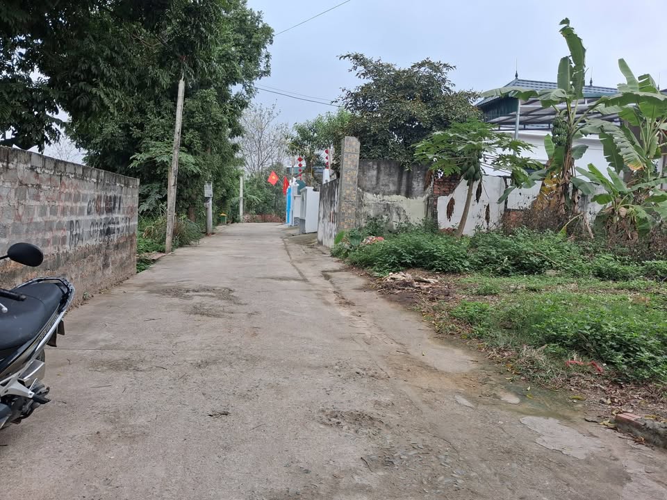 Đất nền Tam Dương Vĩnh Phúc 100m² - Sổ đỏ chính chủ!