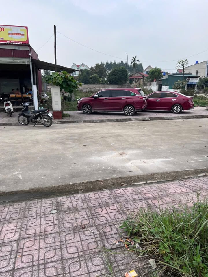 Đất nền Xã Lục Nam, Bắc Giang 95m² - Tiềm năng tăng giá vượt trội!