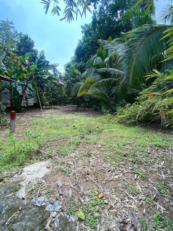 Đất Nền Cao Lãnh 126m² Giá 5xx Triệu - Gần Trường Võ Thị Sáu