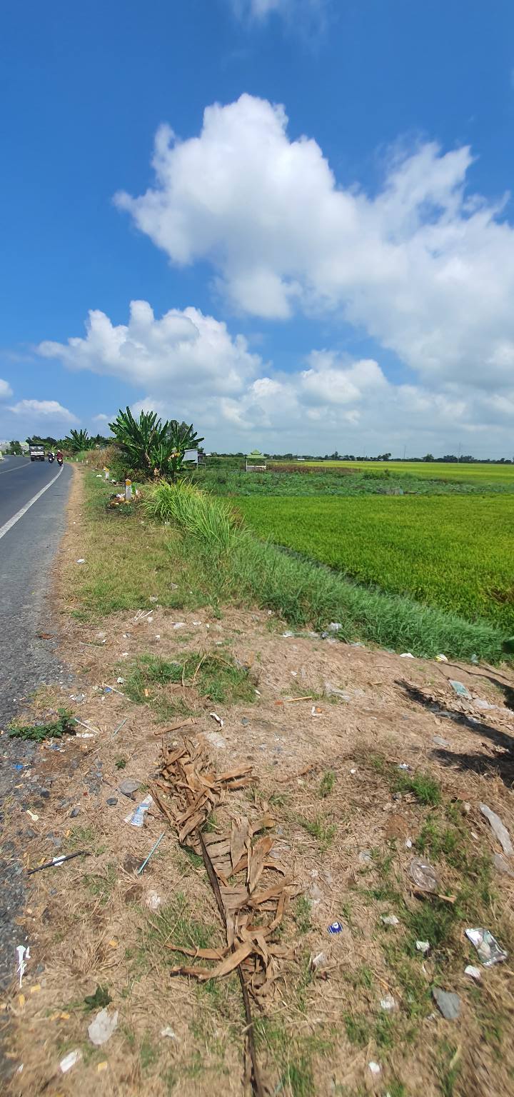 Bán 4000m² đất ruộng mặt tiền QL30, Đồng Tháp - Giá 3 tỷ