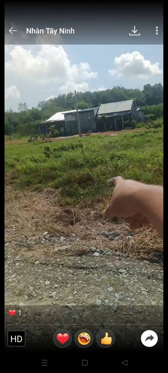 Đất Nền Xã Phước Đông Gò Dầu 396m² - Tiềm năng tăng giá cực lớn!