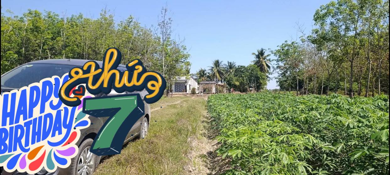 Bán Gấp Đất Lúa Đồng Khởi, Tây Ninh 7200m² - Sổ Hồng Bao Phí