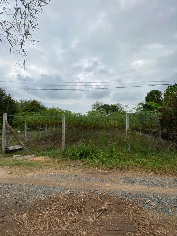 Đất nền Trảng Bàng, Tây Ninh 520m² 1.5 tỷ - Sổ đỏ chính chủ!