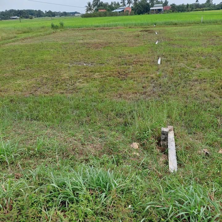 Đất nền Bến Cầu Tây Ninh 175m² - Tiềm năng tăng giá vượt trội!