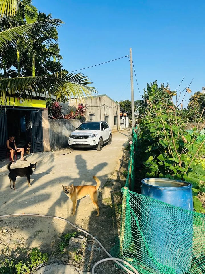 Đất nền Hòa Khánh Bắc, Liên Chiểu 100m² giá 1.5 tỷ - Đường to ô tô