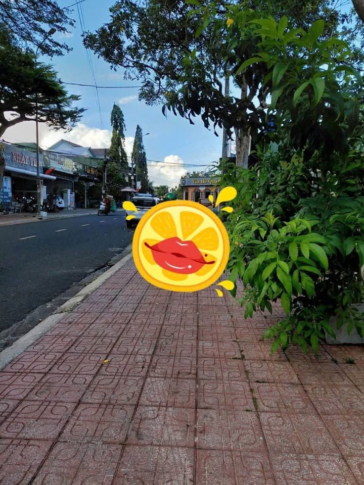 Mặt Tiền Nguyễn Văn Trỗi - Bảo Lộc: Nhà Đẹp Kinh Doanh, Tặng Đất 160m² - 20 Tỷ