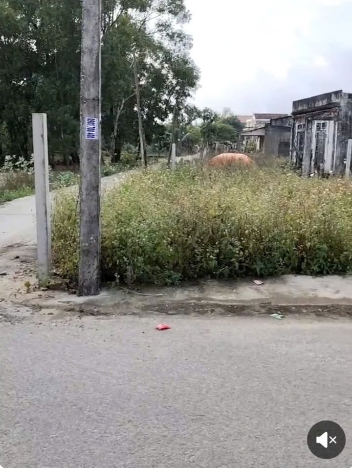 Đất nền Bình Thạnh, Bình Sơn 240m² - Sổ đỏ chính chủ