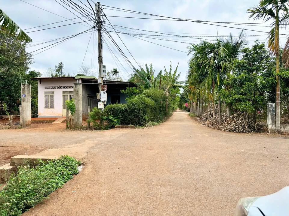 Đất nền Nguyễn Xuân Nguyên BMT 250m² giá 2.1 tỷ - Đường to ô tô