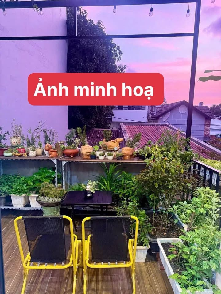 Nhà riêng Phường 2 Vũng Tàu 8 triệu/tháng - Sẵn sàng ở ngay!