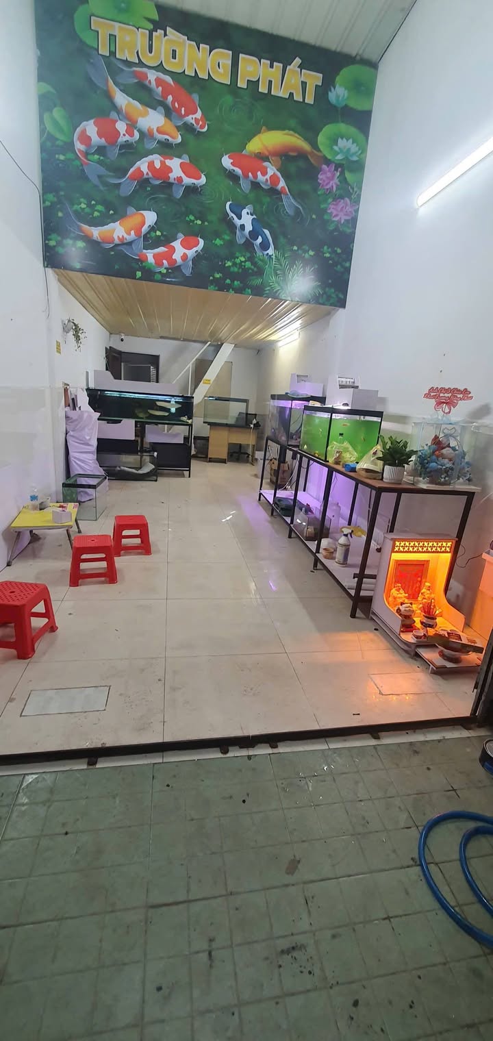 Nhà riêng Thống Nhất Gò Vấp 54m² - Sẵn sàng ở ngay!