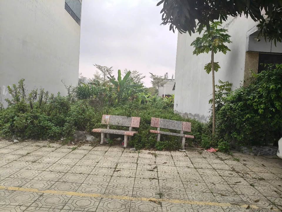 Đất Vàng Hoàng Văn Thụ, Nam Định 80m² - Đối Diện Hồ 7 Mẫu, Kinh Doanh Đỉnh Cao