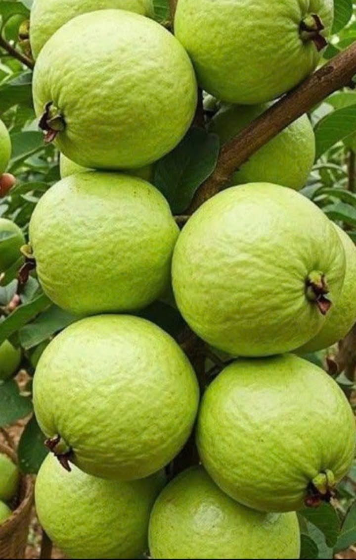 Cho thuê nhà Nguyễn Bỉnh Khiêm Rạch Giá 55m² - Sẵn sàng ở ngay!