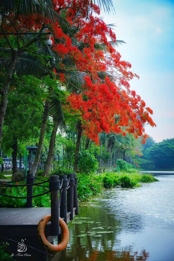 Căn hộ Havenpark Ecopark 86m² giá 14 triệu - View đẹp mê hồn!