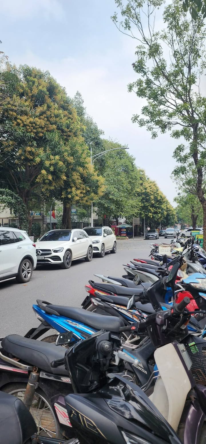 Nhà phố Thủy Nguyên Ecopark 100m² - Vị trí kinh doanh đắc địa