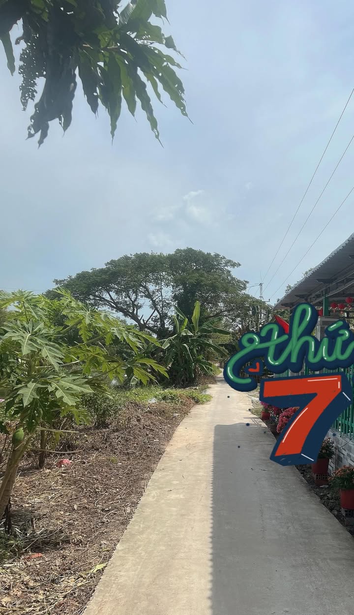 Nhà riêng Vĩnh Thạnh Cần Thơ 500m² giá 1.499 tỷ - Sẵn sàng ở ngay!