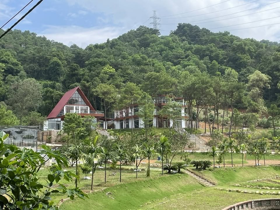 Đất nền Sóc Sơn 2200m² thỏa thuận - Sổ đỏ chính chủ