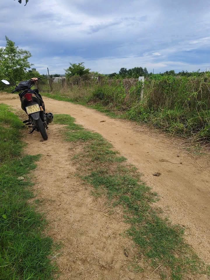 Đất nền Hàm Thuận Bắc 10.000m² - Sổ đỏ chính chủ!