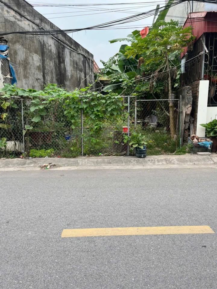 Đất nền mặt phố Tạ Quất Luật, Diêm Điền 114m² - Kinh doanh đắc lộc