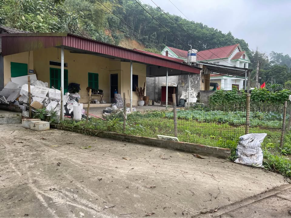 Đất Vườn Yên Bái 237m² – Nghỉ dưỡng lý tưởng, giá chỉ hơn 2 tỷ!