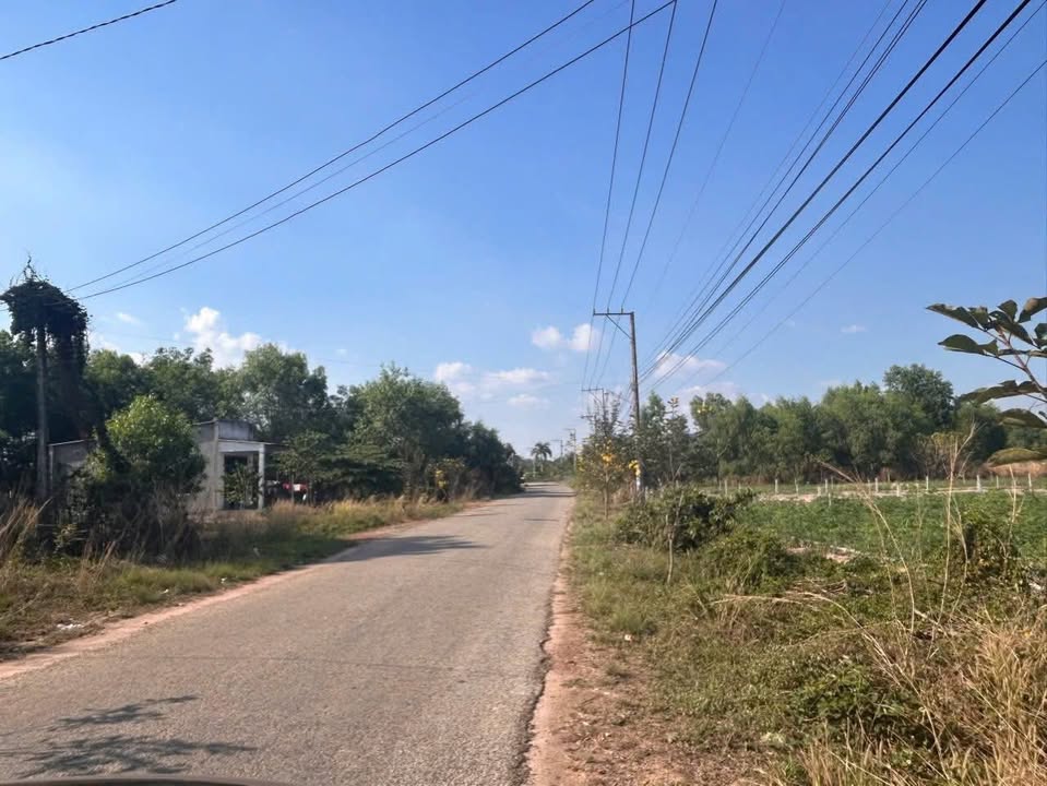 Bán Đất Minh Hoà Dầu Tiếng 468m² Sổ Đỏ - Giá 595 Triệu