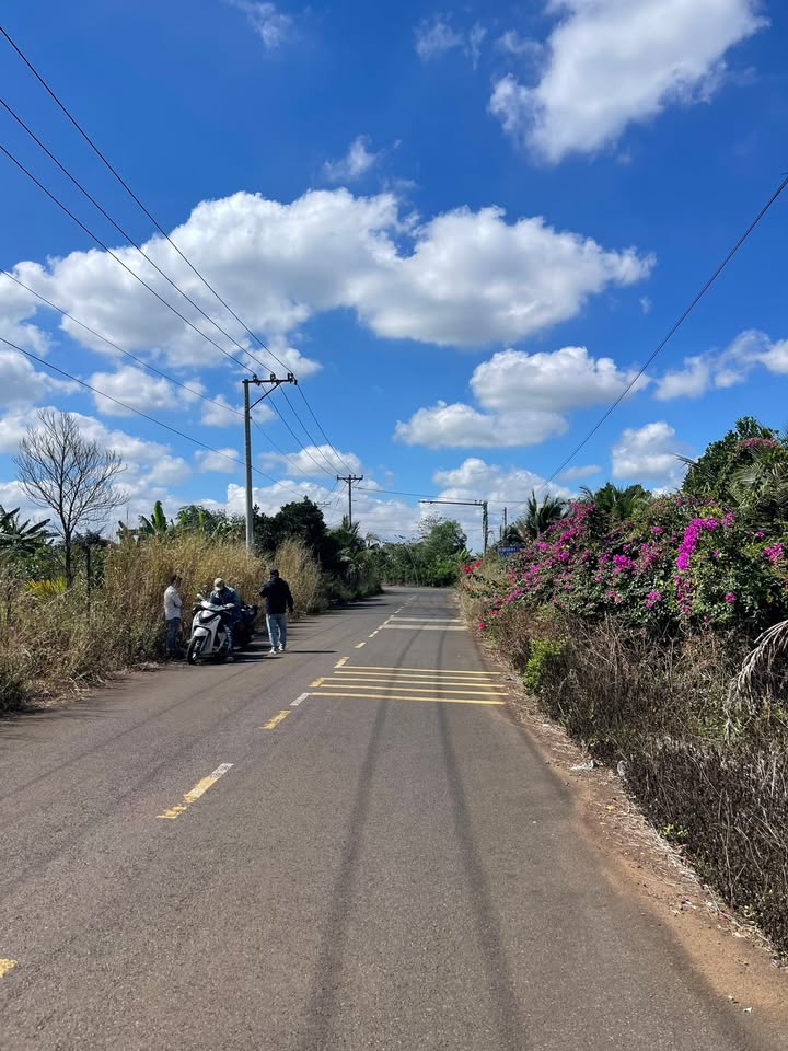 Đất Vườn Đồng Nai 7.988m² Sổ Hồng - Tiềm Năng Đầu Tư Sinh Lời