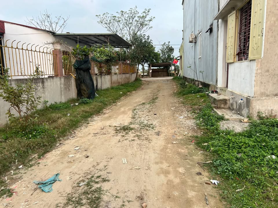 Đất Nền Bái Trung, Hậu Lộc 118m² - Sổ Đỏ Sẵn Sàng