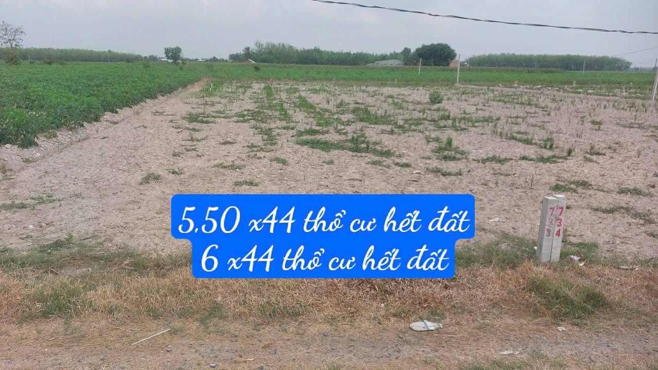 Đất nền Long Chữ Bến Cầu 264m² 239 triệu - Sổ đỏ chính chủ!