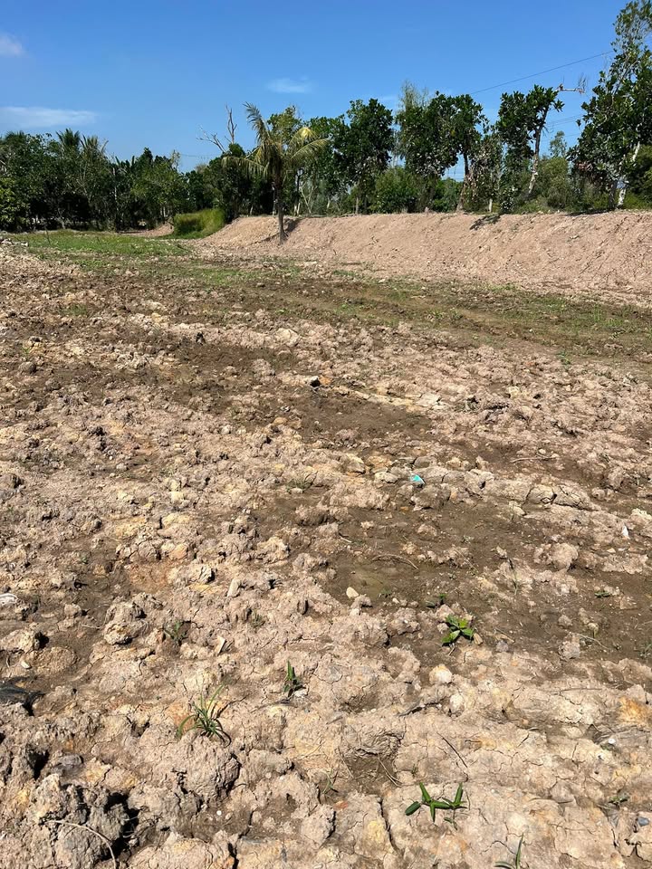 Đất nền Mỹ Đông 3200m² - Sổ đỏ chính chủ, tiềm năng tăng giá