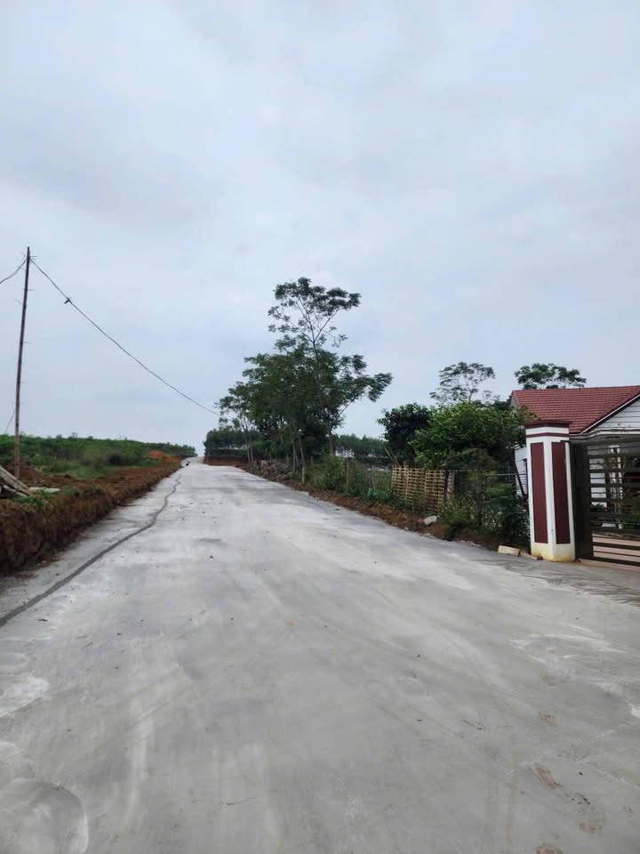 Đất nền Tề Lễ 100m² - Sổ đỏ chính chủ, đường ô tô