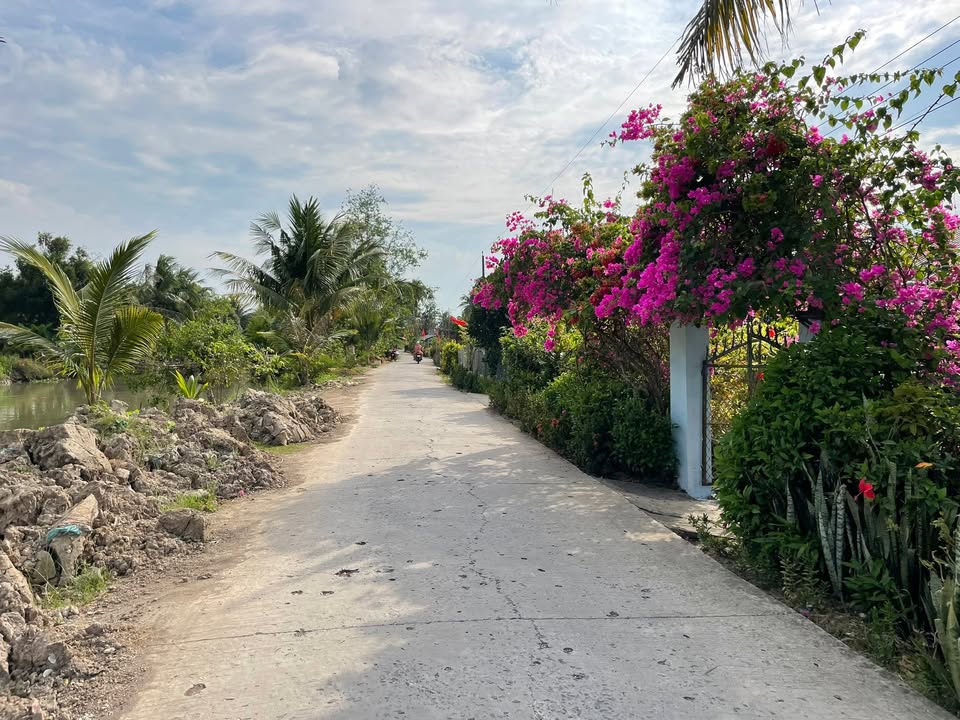 Đất nền Trường Long Tây, Phong Điền 1100m² - Có thổ cư, đường ô tô!