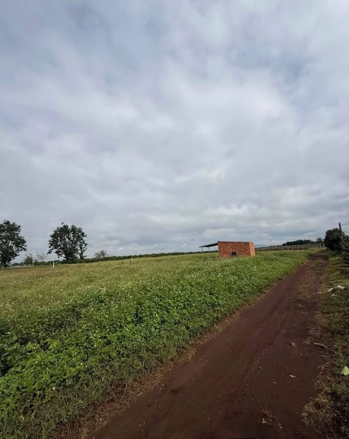 Đất nền Tân Hội 3400m² - Trung tâm xã, tiềm năng lớn!