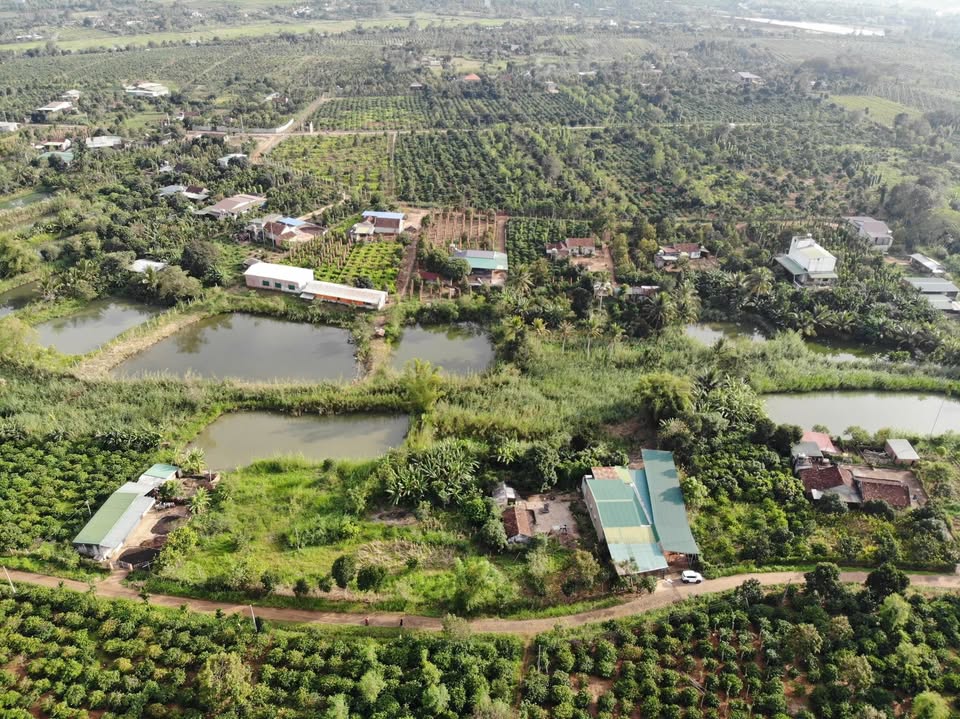 Đất nền Phú Xuân, Krông Năng 920m² - Sổ đỏ chính chủ